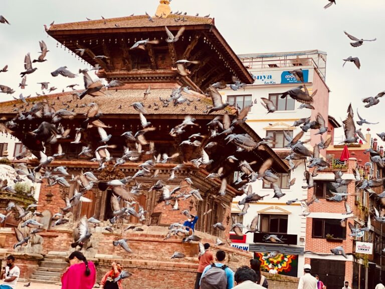 Top 20 Day Trips from Kathmandu β Travel Guide to Kathmandu 18 a flock of birds flying over a building