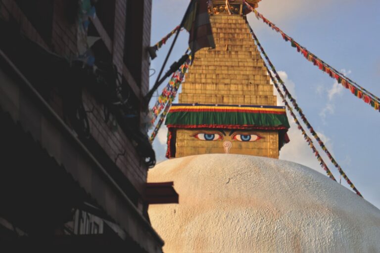 Top 20 Cafรฉs and Coffee Shops in Kathmandu โ Travel Guide to Kathmandu 131 brown and green concrete building