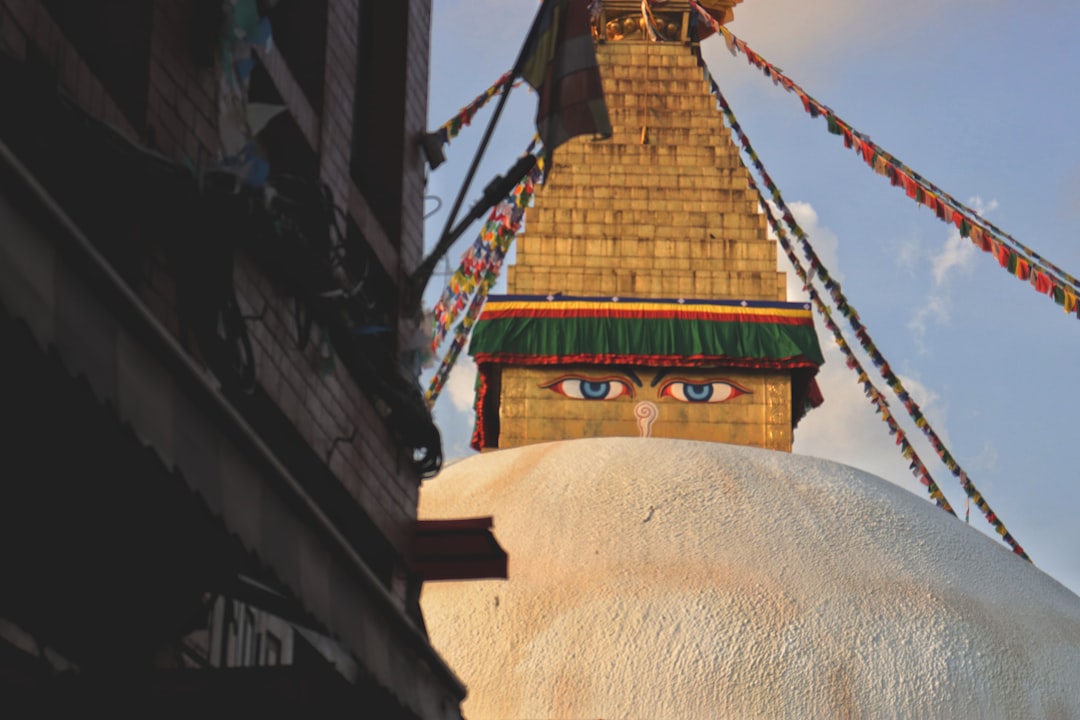 brown and green concrete building