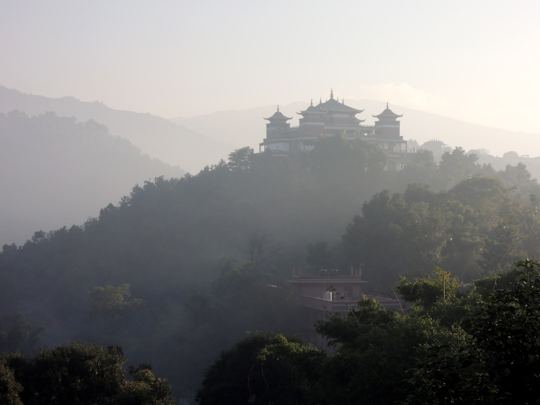 green trees on mountain during daytime
