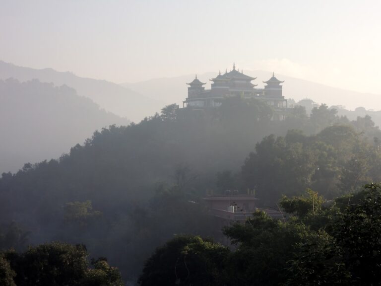 green trees on mountain during daytime