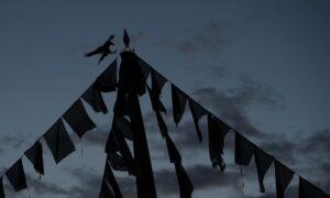 black and white flags under cloudy sky during daytime