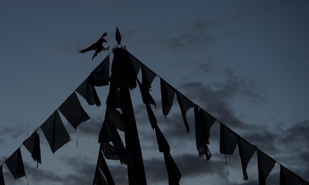 black and white flags under cloudy sky during daytime