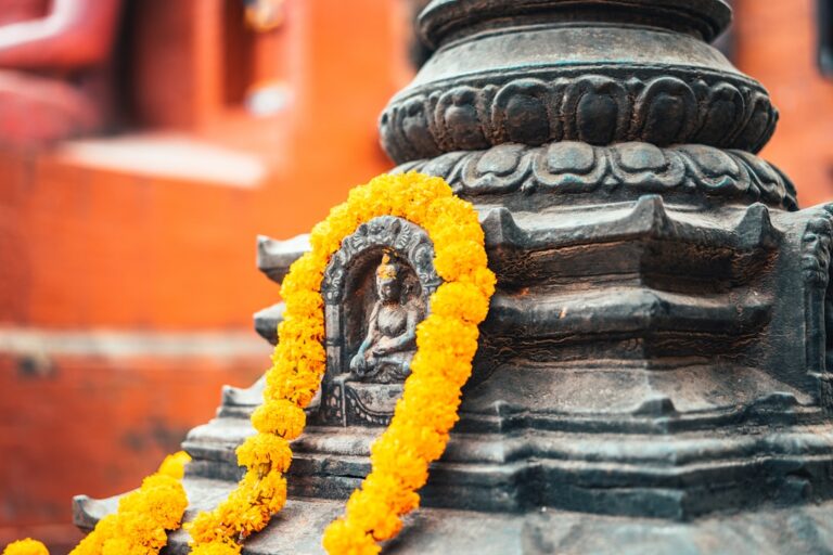 Top 10 Wildlife Conservation Efforts in Kathmandu β Travel Guide to Kathmandu 33 yellow and blue beaded necklace on gray concrete round outdoor fountain