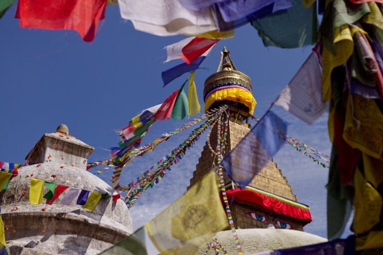 Pet Travel Tips for Visiting Kathmandu – Travel Guide to Kathmandu 99 yellow green and red concrete building under blue sky during daytime