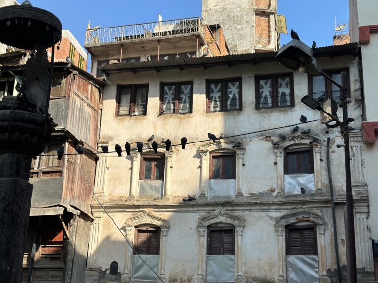 a group of birds sitting on the windows of a building