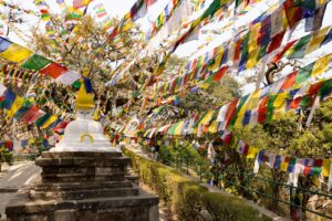 a bunch of flags are flying in the air