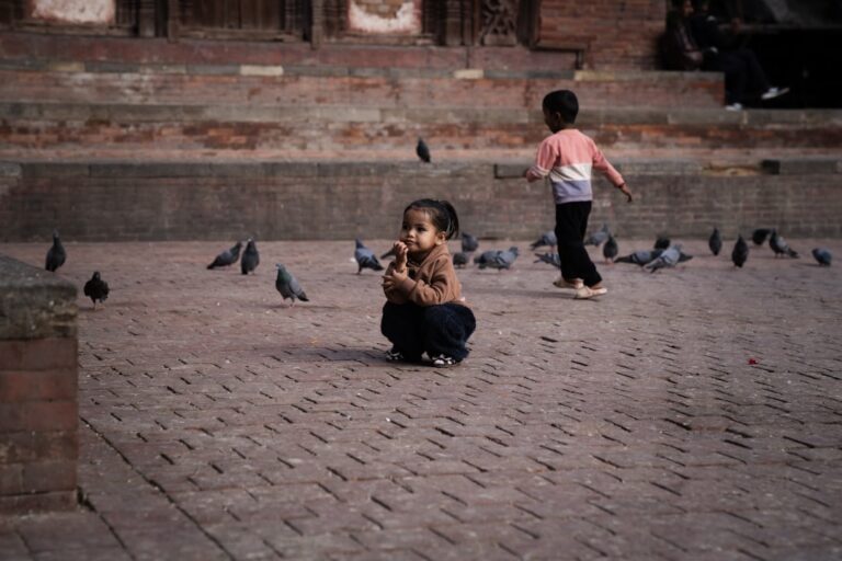 Two children are playing with pigeons on the street