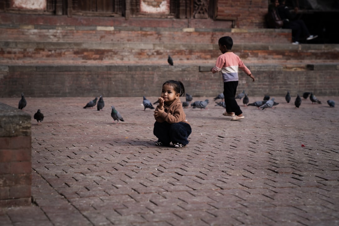 Two children are playing with pigeons on the street