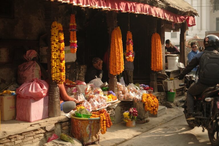Best Scenic Viewpoints in Kathmandu β Travel Guide to Kathmandu 18 A market stall sells flower garlands and other goods.